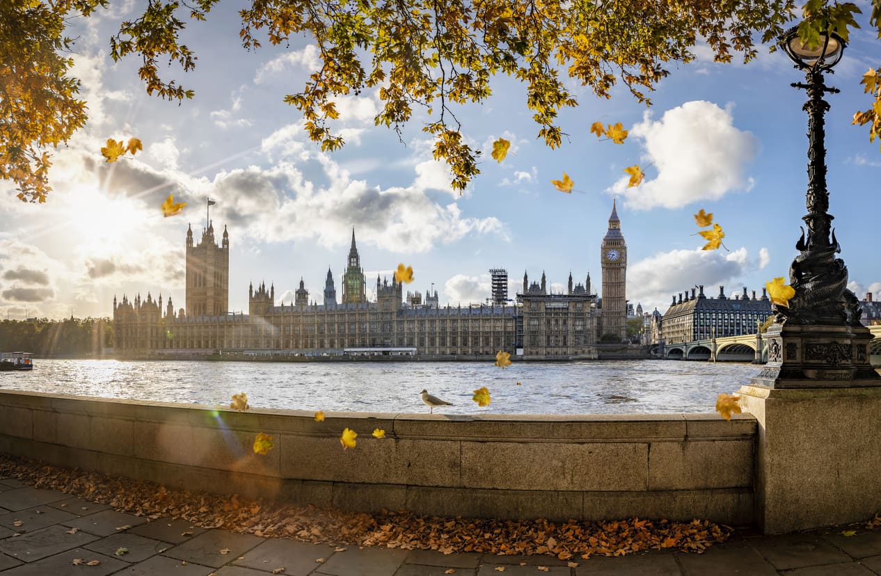 economic overview October 2025